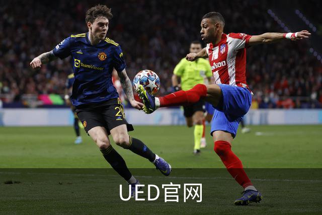 UED官网 公司简介